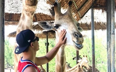 Một chút trải nghiệm thực sự cần thiết khi đi tour Thái Lan Safari World ở Bangkok