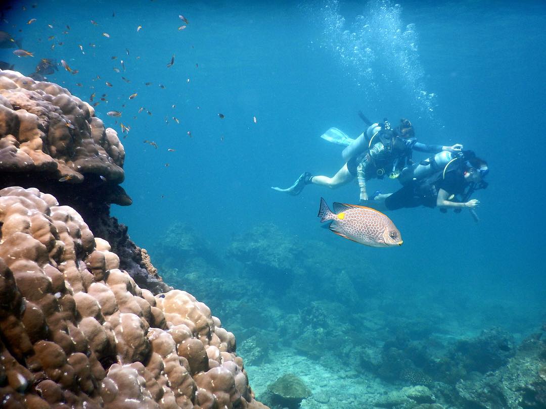 Đến đây có rất nhiều chương trình vui chơi cho bạn lựa chọn như: lặn ngắm san hô...